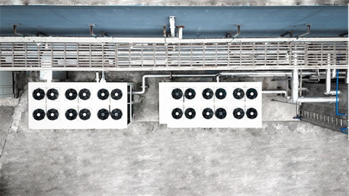 20251103724357.jpg 谷輪創(chuàng)新技術(shù)賦能中國菌菇種植產(chǎn)業(yè),推動能效升級與可持續(xù)進(jìn)步